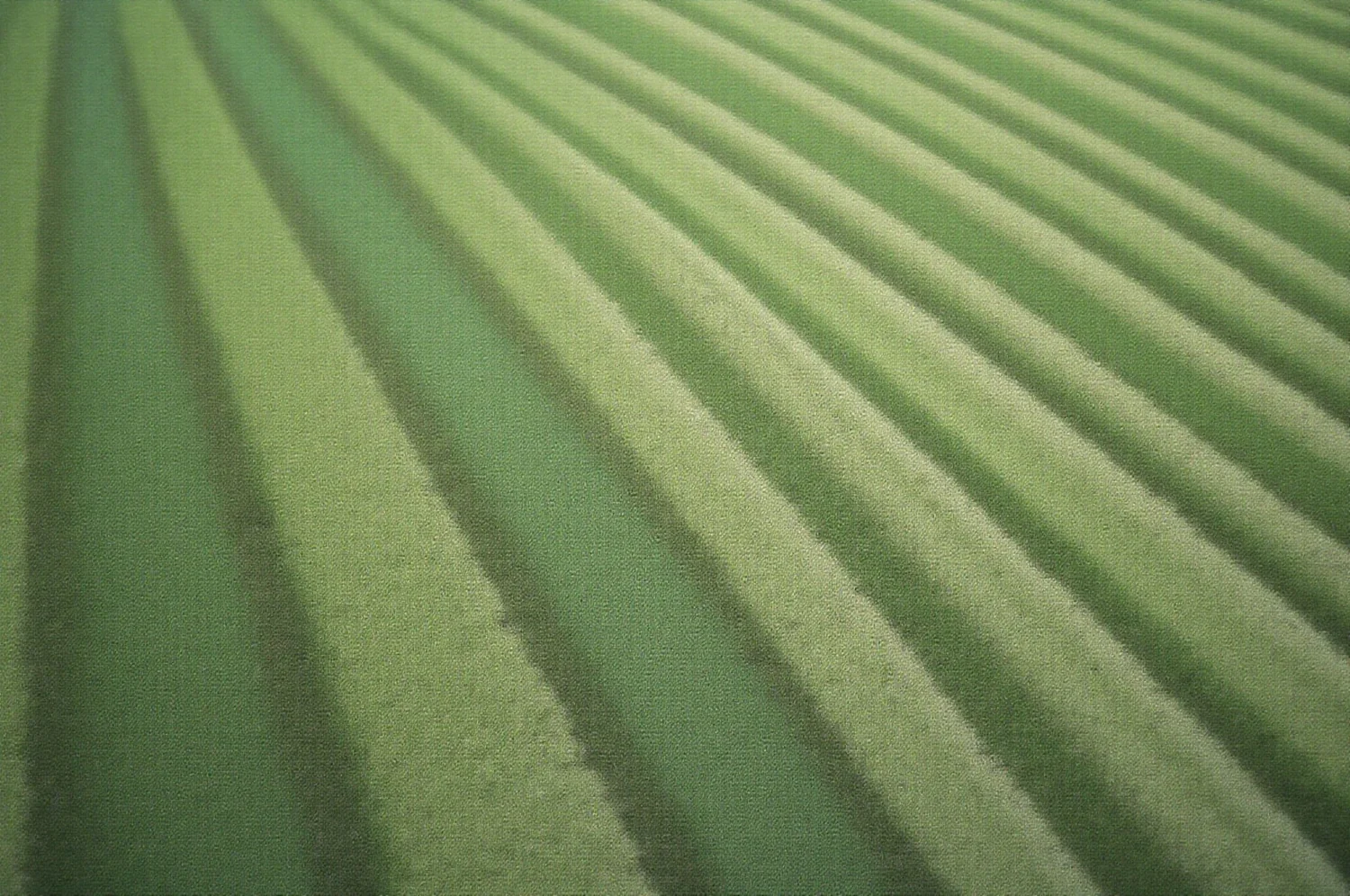 Nopļauta zāle ar pļaušanas svītrām no augšas
